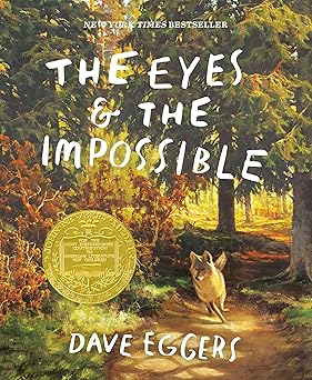 Dave Eggers. Akys ir tai kas nematoma